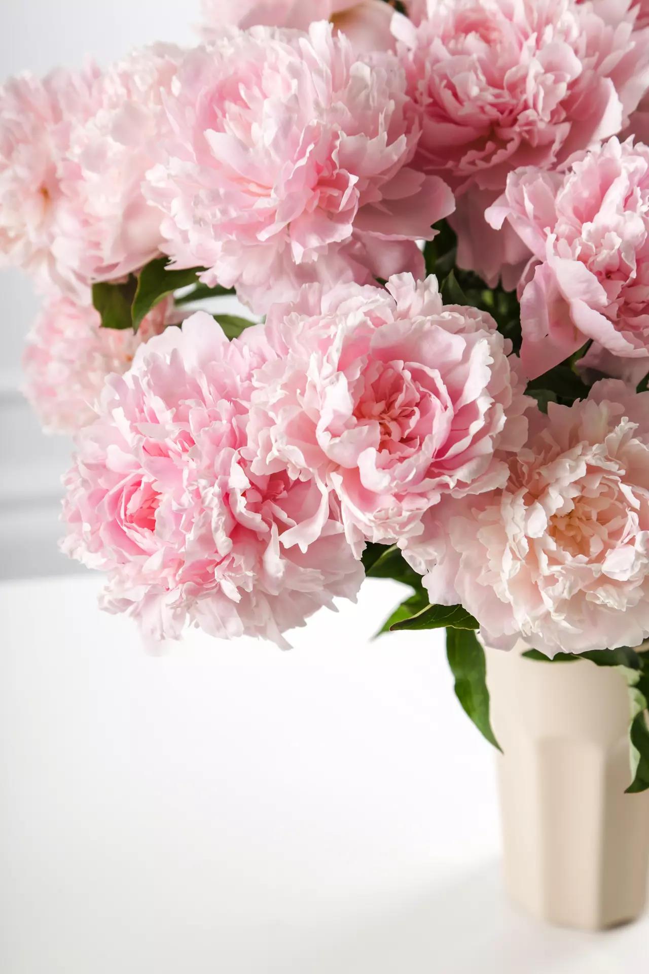 Cosmetic, Medical & Surgical Dermatology in Huntington Beach, CA